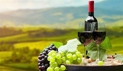 Что стоит знать об итальянских винах