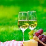 Какое вино взять на пикник превью