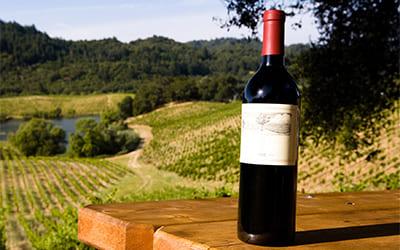 Что такое органическое вино превью